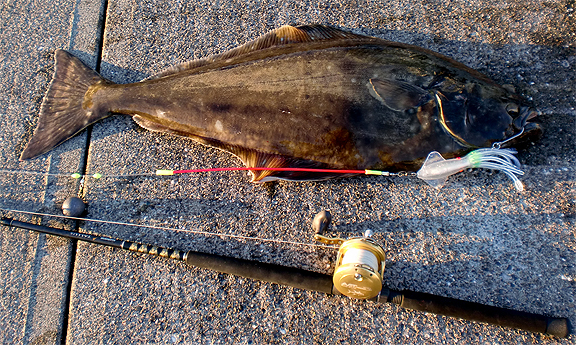 where to catch halibut in Sequim
